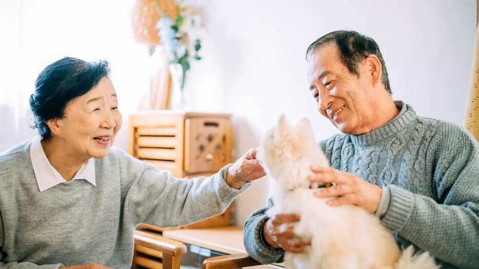 「私が先に死んでしまったら愛するペットはどうなるのか」という深刻な悩み…自分が高齢になったら準備すべきこと【FPが助言】