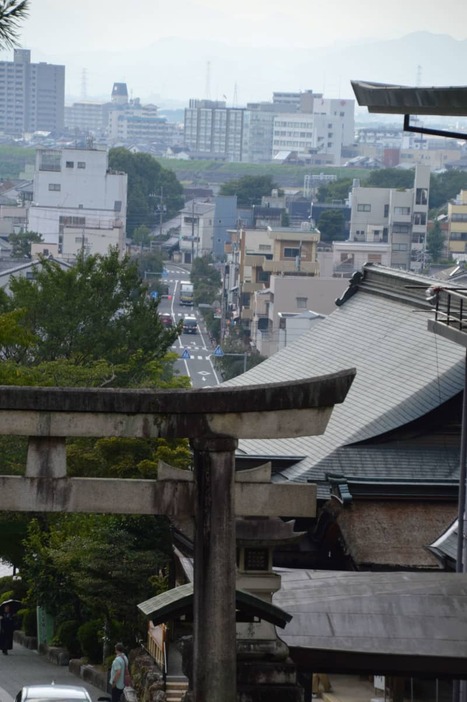 金華山麓にある伊奈波神社から見下ろす「岐阜町」一帯＝２０２４年８月４日