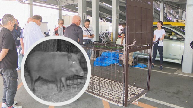 イノシシやシカなどを捕獲するためのICT機器