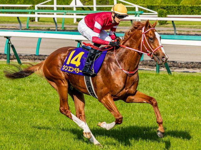 今年のクラシック戦線を賑わせたシンエンペラー(今年4月撮影、ユーザー提供：リョッティーさん)