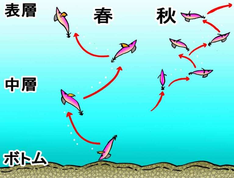 春と秋とでは狙い方が明確に異なる。