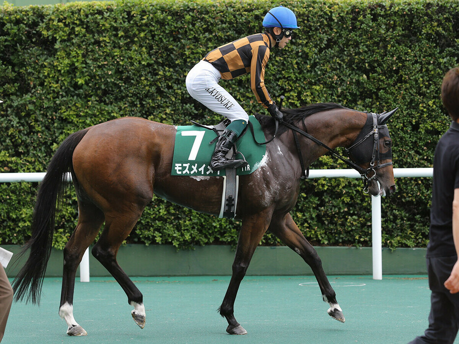 セントウルＳでの勝ち負けが期待されるモズメイメイ　photo by Eiichi Yamane/AFLO