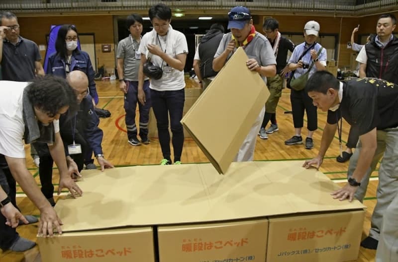 組み立てられた段ボールベッド