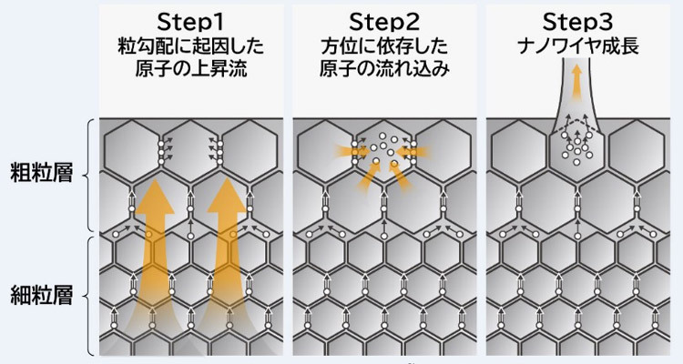 ナノワイヤ成長の順序。小さい白い丸がアルミニウム原子、六角形が結晶粒を表す。細粒層から粗粒層へ原子が上昇し、特定の結晶粒に原子が流れ込んでからナノワイヤとして成長する（九州大学の木村康裕准教授提供）