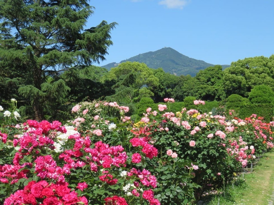 京都府立植物園