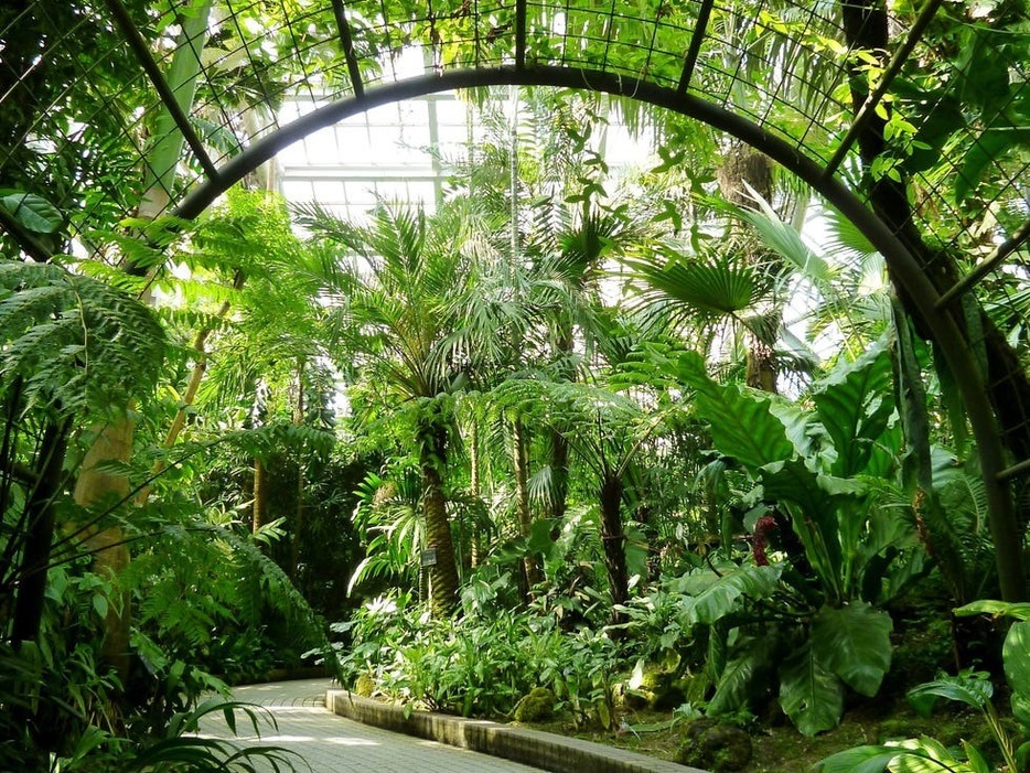 京都府立植物園