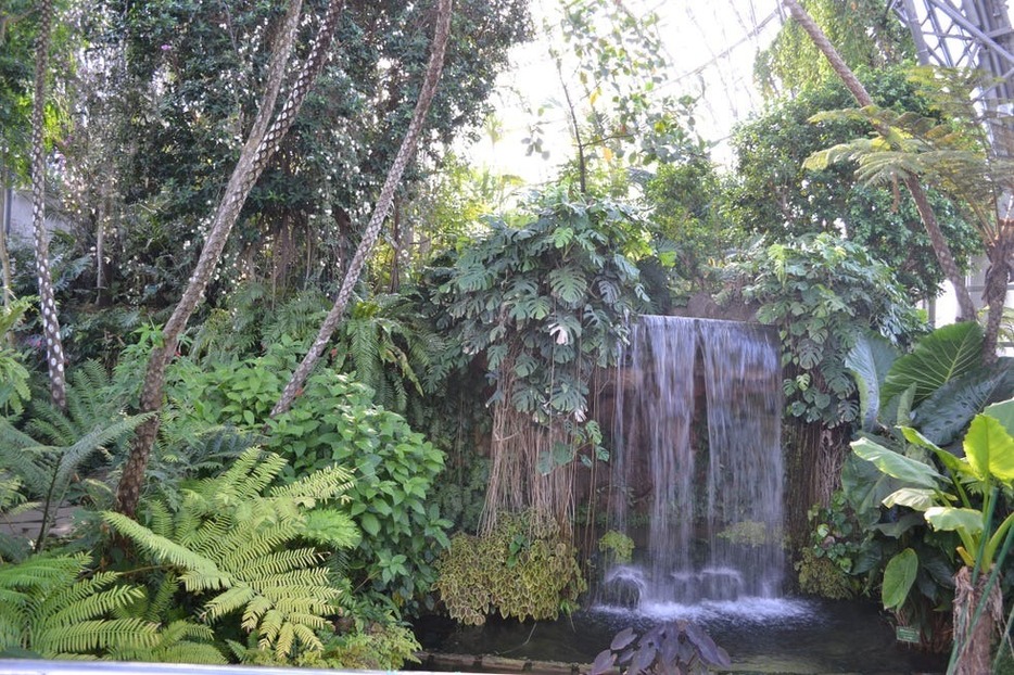 夢の島熱帯植物館