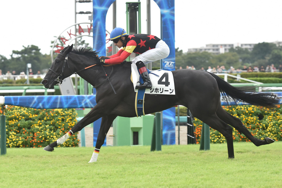 ２戦目のシホリーンが順当に勝ち上がった