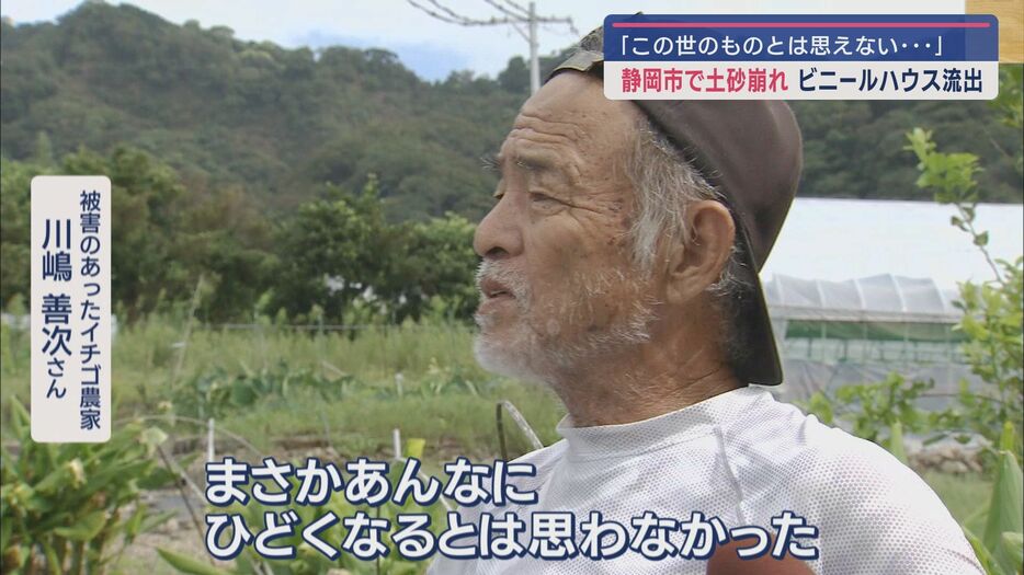 被害にあったイチゴ農家・川嶋善次さん