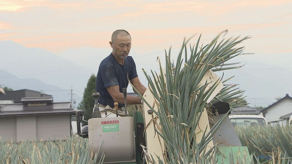 「新幸福ねぎ」農家・小林庄二さん（9月3日取材）