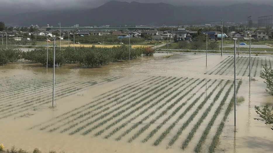 2019年10月、被災時の畑（提供：小林さん）