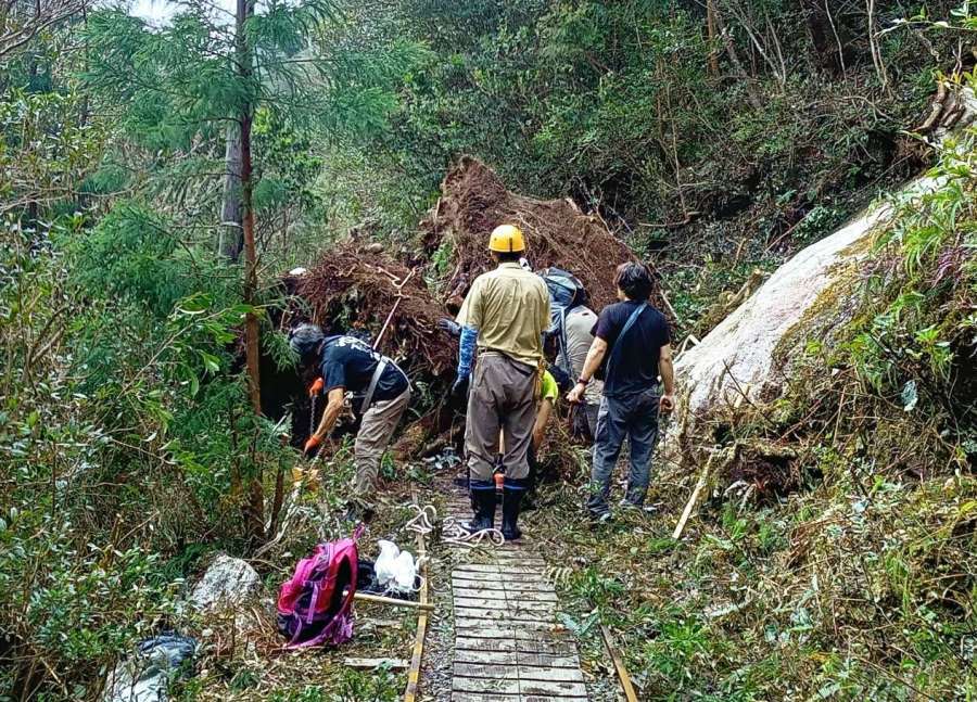 登山道を覆う土砂の撤去作業をするガイドのメンバー＝３日、屋久島町（屋久島観光協会ガイド部会提供）