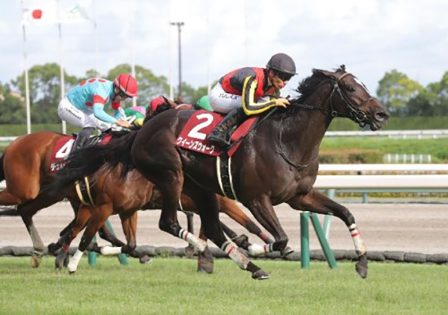 2番人気クイーンズウォークが秋華賞に向け弾みをつける完勝劇