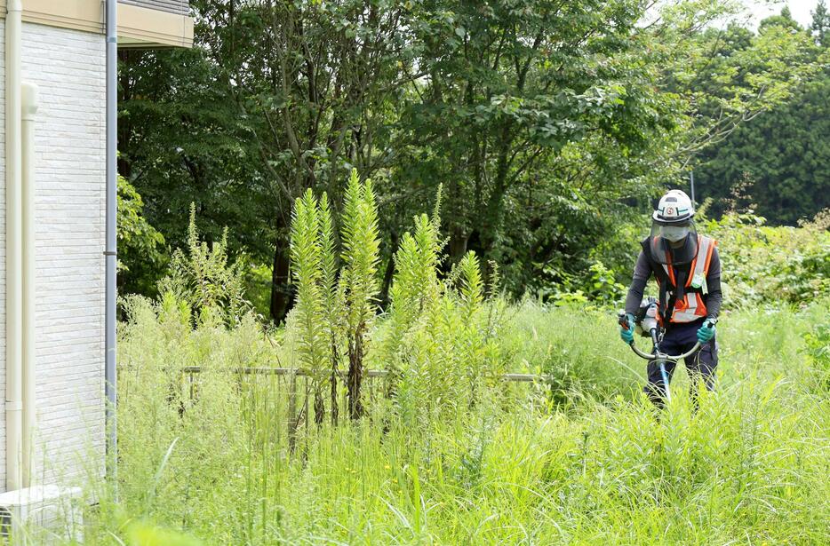 除染のため、特定帰還居住区域で宅地内の草を刈る作業員＝5日午前、福島県富岡町