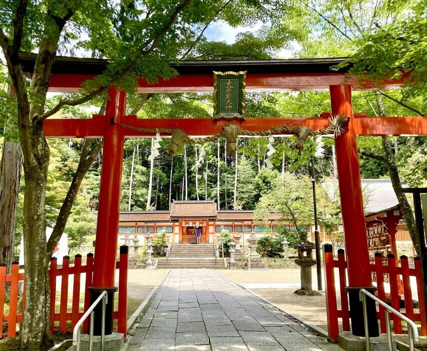 大原野神社の境内。三の鳥居から春日造の本殿をのぞむ