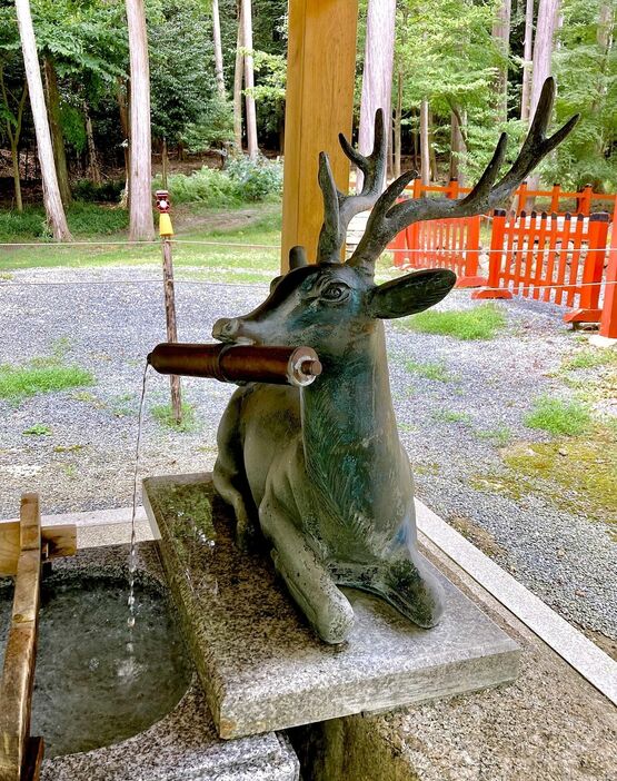 かわいい鹿の手水舎。鹿がくわえた巻物から水が流れてくる