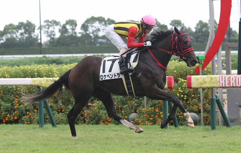 ＜中京5R＞直線で突き放し勝利するロケベンドラ（撮影・亀井　直樹）　