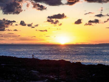 伊豆大島のサンセットパームラインの万立浜から見る夕陽（写真：KUMI/イメージマート）