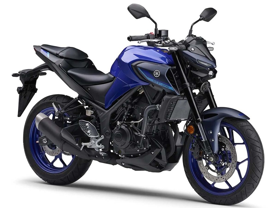 YAMAHA MT-25