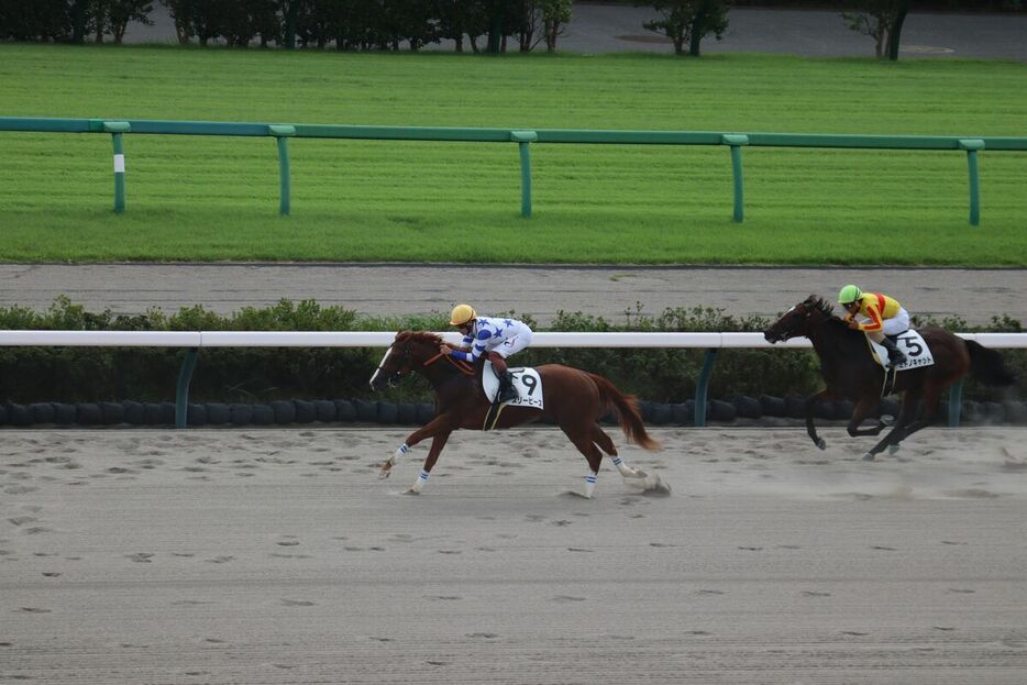 初勝利を挙げたスリーピース（左）（カメラ・坂本　達洋）