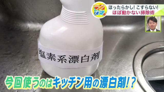 キッチン用のスプレータイプの塩素系漂白剤を使用