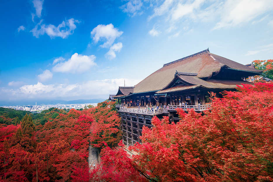 秋の清水寺。日本からは3都市がランクイン（tvcuong8892 / Shutterstock.com）