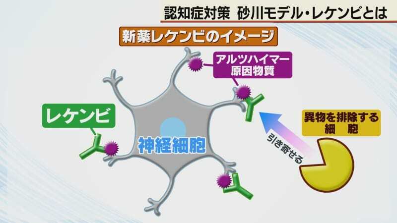 （写真：テレビ北海道）