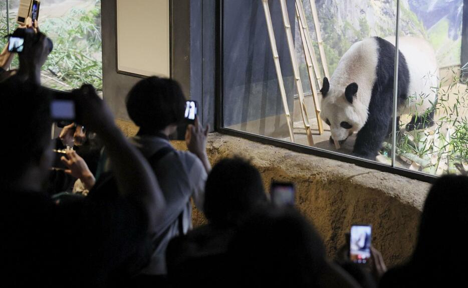 最終観覧日、ジャイアントパンダのシンシンを見に訪れた人たち＝28日午後、東京・上野動物園（代表撮影）