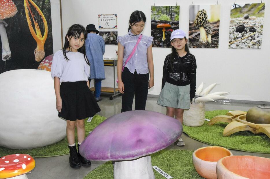 とっとり花回廊で開催されているイベント「きのこワンダーランド」＝21日、鳥取県南部町