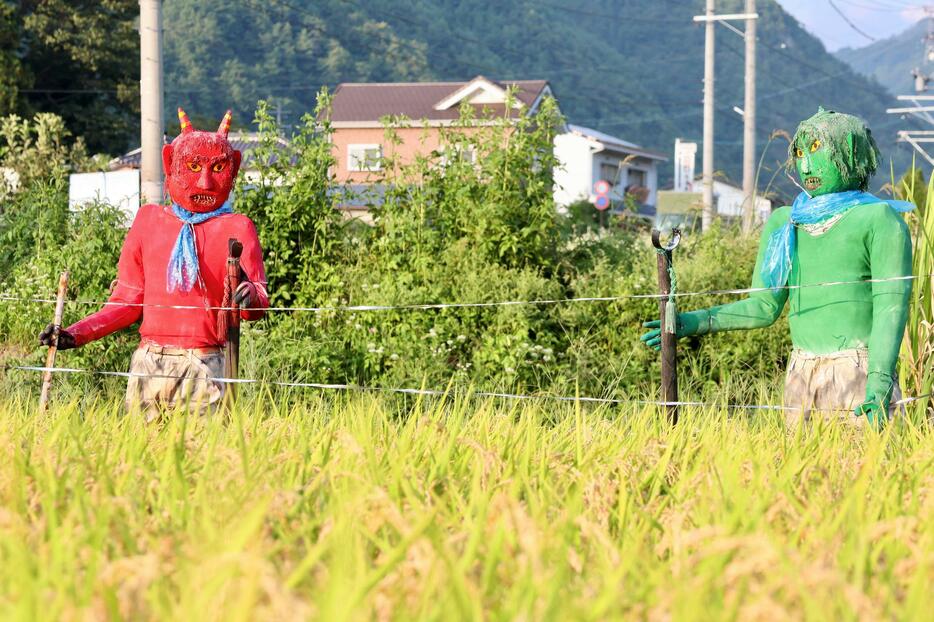 田んぼをにらむ宮島さんのかかし