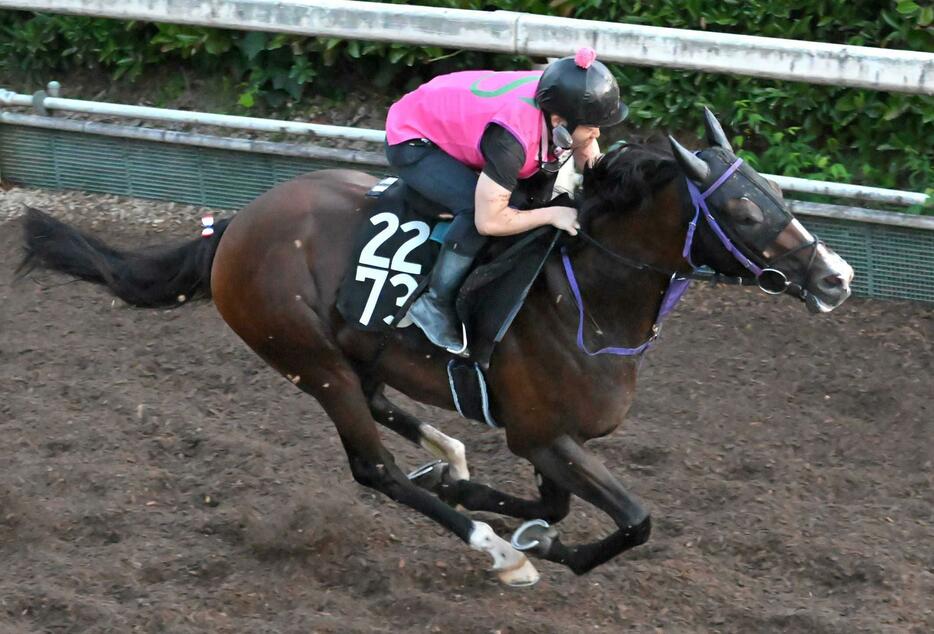 　栗東坂路で鋭い伸びを見せたウエストナウ