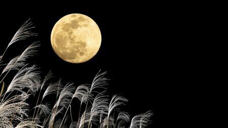 日本人が月を愛でる習慣は江戸時代から。今年は一緒に土星が見えるかも？（写真：花火／PIXTA）この記事の画像を見る(◯枚)