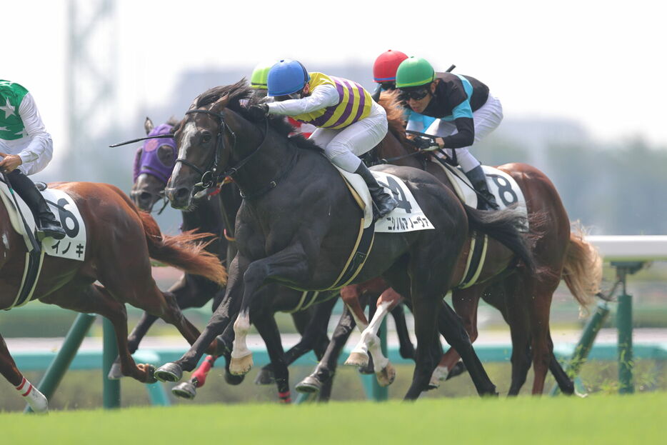 中山2R・ニシノルアノーヴァと永野猛蔵騎手