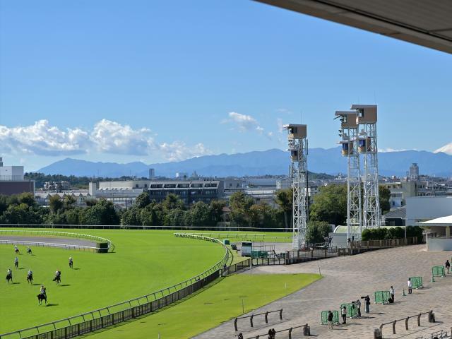 東京競馬場(写真はイメージ、撮影：下野雄規)