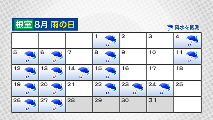 雨の日 8月は特に多かった！