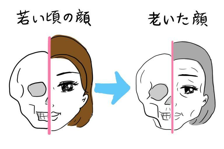 加齢に伴って顔がたるむ大きな原因といわれる「顔面の骨やせ」。そのメカニズムや対策とは