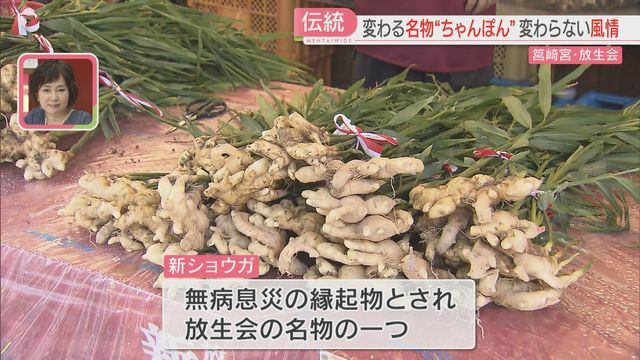 名物「新ショウガ」