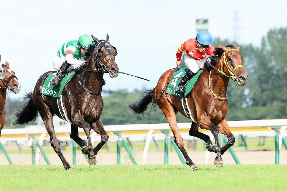 追撃凌いだ8番人気の4歳牝馬シンリョクカ(右)が重賞初制覇