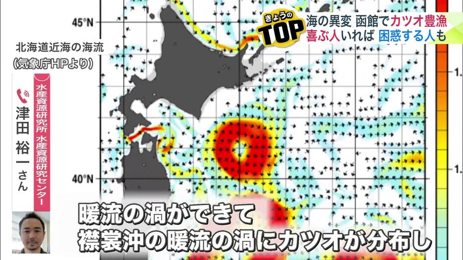 海水温が例年より3度から4度高いことが影響