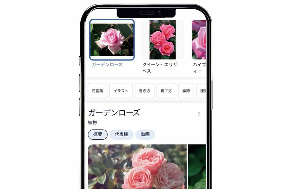 スマホを活用すれば、画像の正体もすぐに調べられます