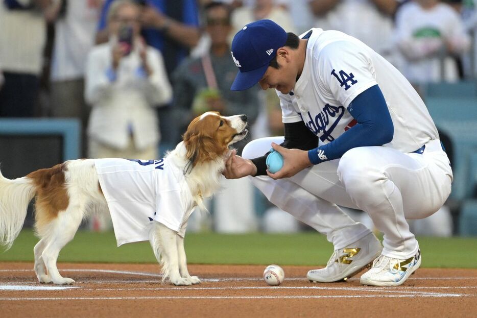 ついに愛犬・デコピン始球式に登場（USA TODAY Sports via Reuters Connect）