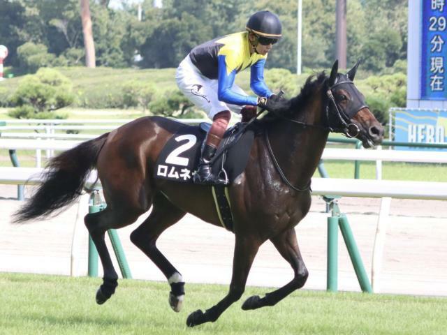 3勝目を目指すロムネヤ(今年8月撮影、ユーザー提供：ぶにぶにさん)