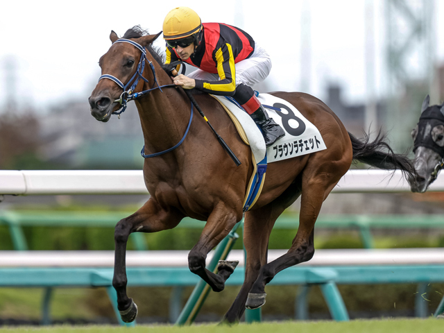 中山6R新馬戦を制したブラウンラチェット(撮影：下野雄規)