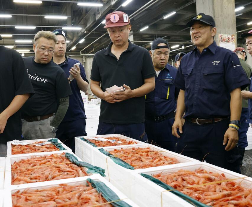 金沢市の中央卸売市場で「底引きもの」の初競りが行われ、甘エビを競り落とす卸売業者ら＝5日午前