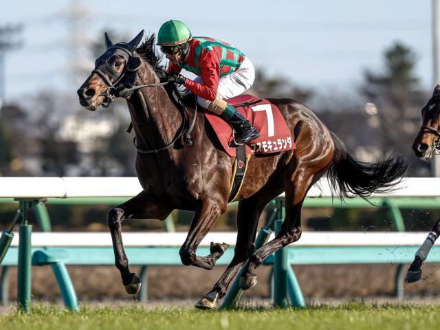 皐月賞2着馬のコスモキュランダは5枠8番(撮影：下野雄規)