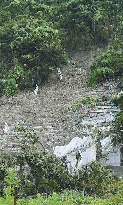 土砂崩れでイチゴハウスが被害を受けた現場（2日、静岡市駿河区で）