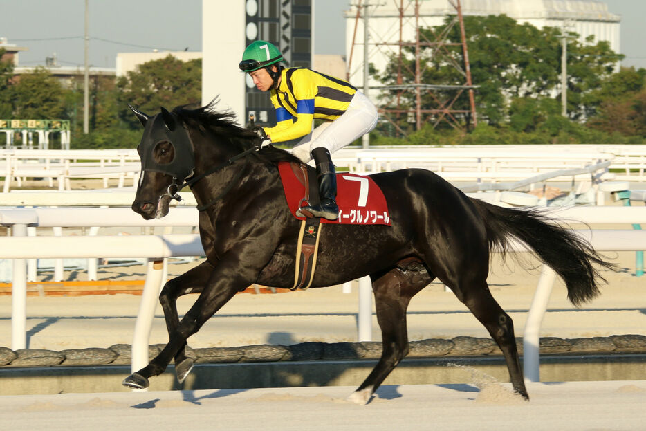 兵庫ジュニアグランプリ・イーグルノワールと松山弘平騎手 (C)兵庫県競馬組合