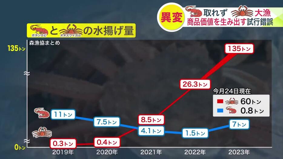 ボタンエビと大ズワイガニの水揚げ量