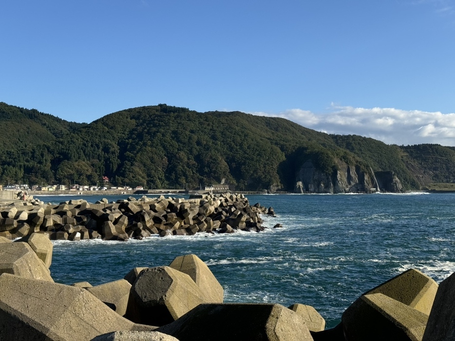 男性が海に転落した現場