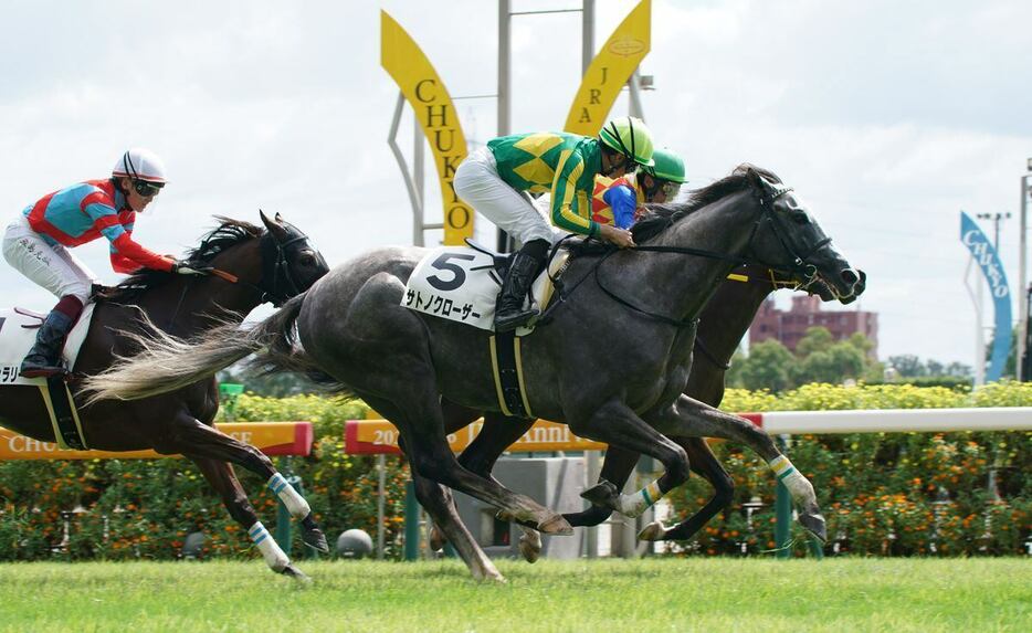 中京3Rを制し初勝利を挙げたサトノクローザー＝中京競馬場（撮影・岩川晋也）